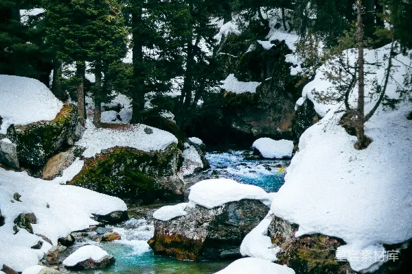 高清摄影 一条溪流穿过覆盖着雪的森林