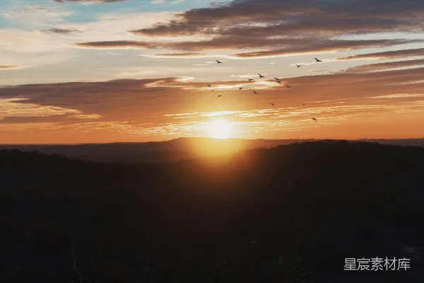 高清摄影 夕阳西下，鸟儿在空中飞翔