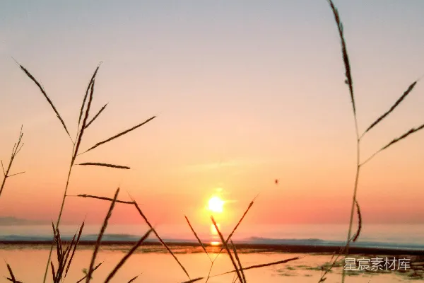 高清摄影 夕阳西下，海滩上笼罩着金色的余晖。