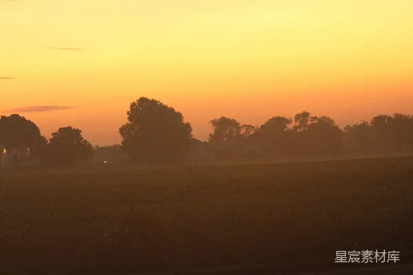 高清摄影 夕阳正落在这片草地上。