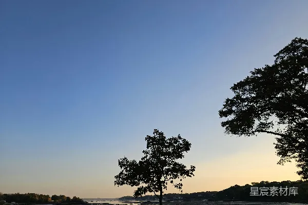 高清摄影 剪影的树木在水面上勾勒出昏暗的天空。