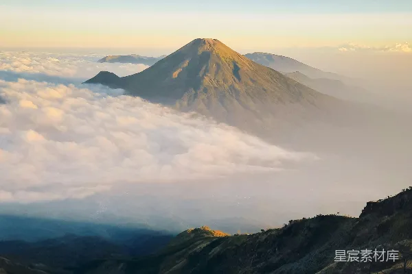 高清摄影 一个男人站在郁郁葱葱的山坡上。