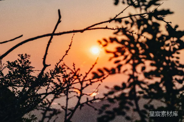 高清摄影 夕阳在远处的树木后面落下。