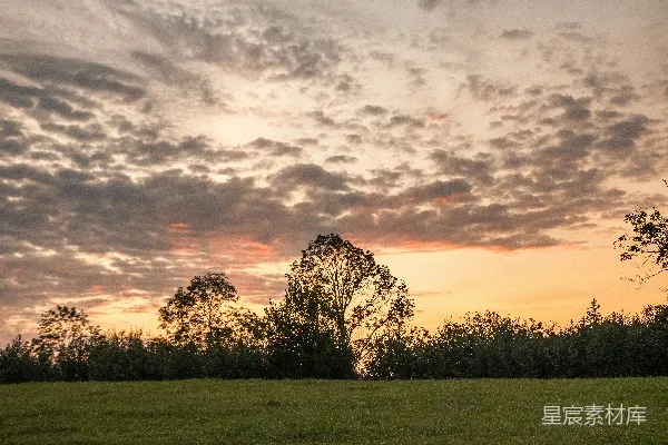 高清摄影 夕阳洒在碧绿的草地上。