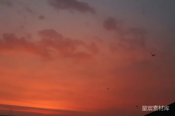 高清摄影 灿烂的夕阳映照在黑暗的景观上。