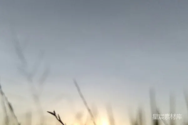高清摄影 夕阳西下，草地上笼罩着一片暮色。