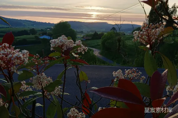 高清摄影 夕阳西下，笼罩着一条乡间小路。