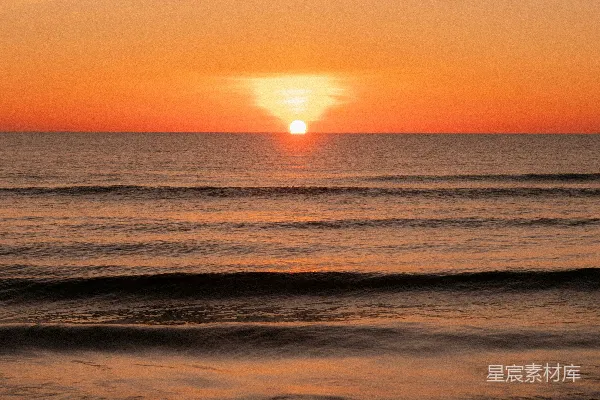 高清摄影 夕阳西下，一只鸟飞越海洋。