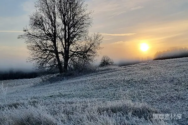 高清摄影 一个寒冷的田野中，远处有一棵孤树。