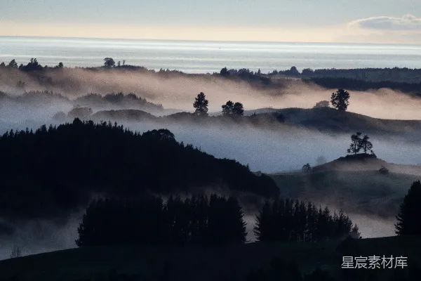 高清摄影 晨雾缭绕的山丘和树木，鸟瞰大海的美景。
