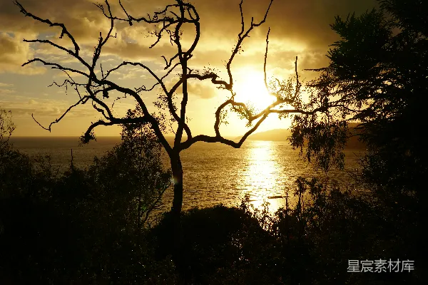 高清摄影 夕阳正在水面上落下。