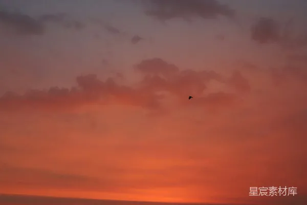 高清摄影 大海上方绚丽的夕阳与黑色剪影