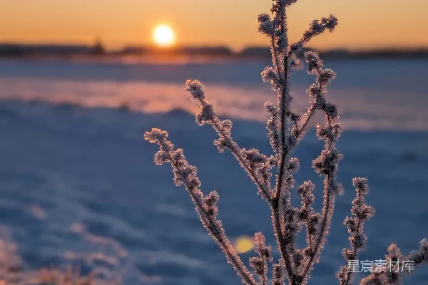 高清摄影 太阳正落在这片雪地上。