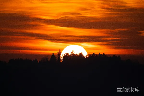 高清摄影 夕阳正照耀着远处的树木。