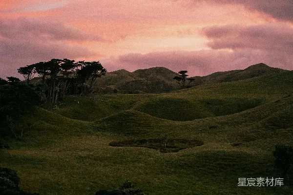高清摄影 一片草地，背景中有树木和山丘。