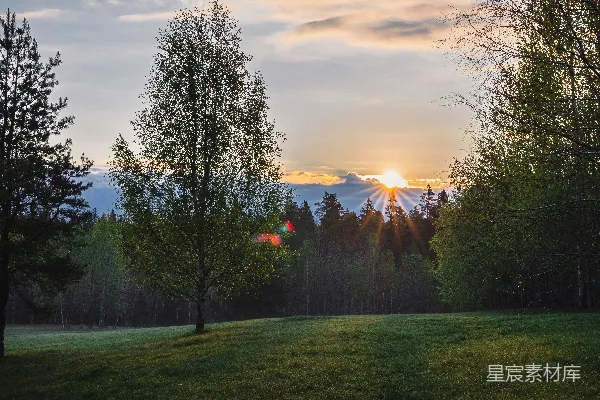 高清摄影 夕阳西下，绿色草地近景，森林映衬。