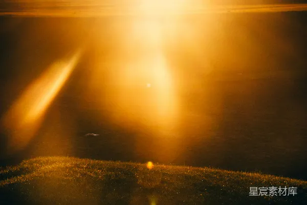 高清摄影 夕阳将大地染成一片温暖的金色光辉。