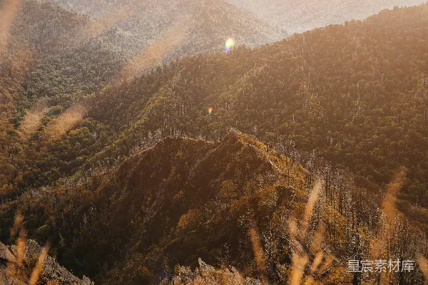 高清摄影 一座山脉的远景，前景中有树木。