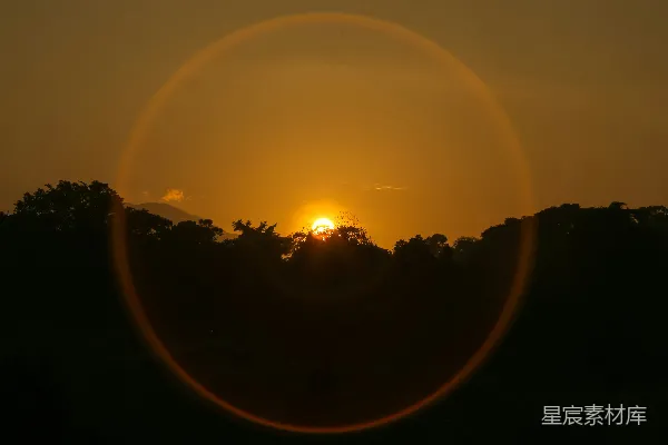 高清摄影 森林上空的夕阳