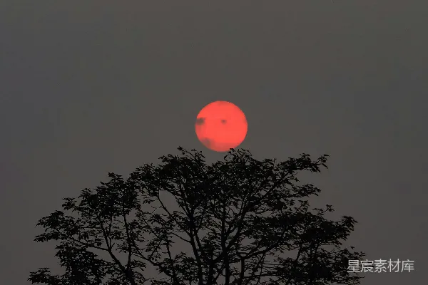 高清摄影 夕阳在天空中落下，躲在一棵树的后面。