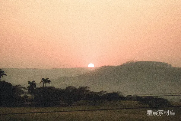 高清摄影 夕阳下的绿色草地