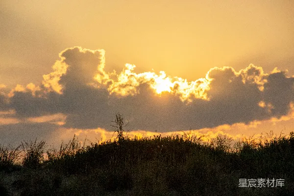 高清摄影 夕阳正在草地上空落下。