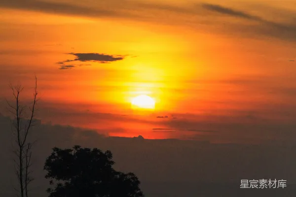 高清摄影 夕阳正挂在海面上，前景中有一棵树。