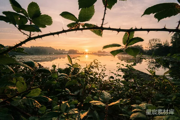 高清摄影 夕阳正挂在水面上。