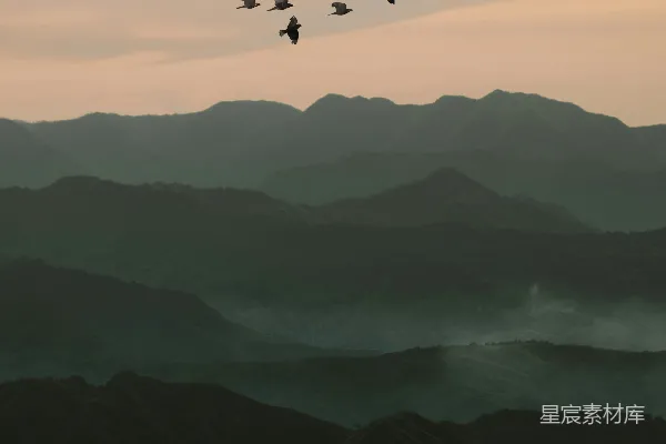 高清摄影 白天山间飞过的鸟儿