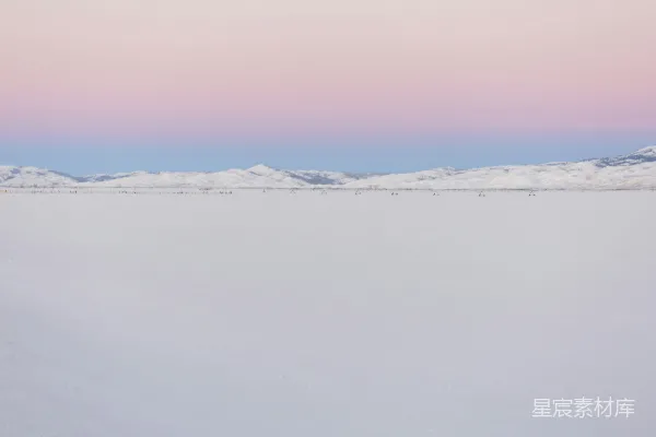 高清摄影 白天蓝天下被雪覆盖的山峰