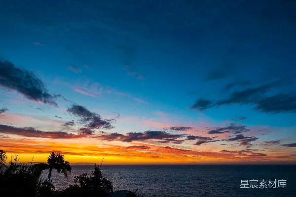 高清摄影 夕阳下的水边树木剪影