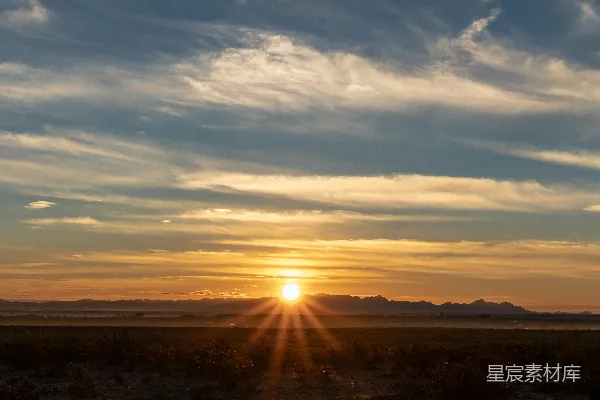 高清摄影 夕阳下树木的剪影