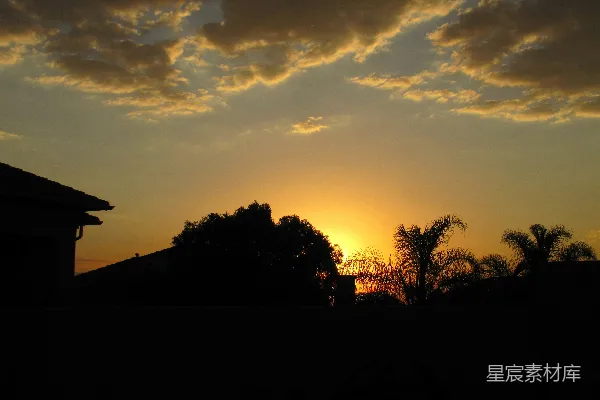 高清摄影 夕阳映照在剪影树和房屋上。