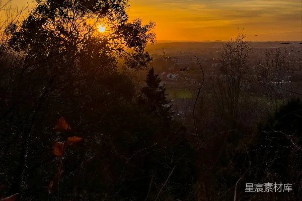 高清摄影 夕阳透过树木，俯瞰着远处的小镇。