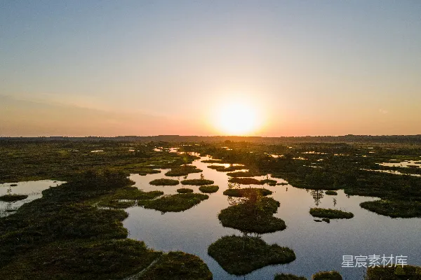 高清摄影 夕阳正洒落在沼泽地上。