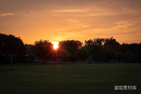 高清摄影 夕阳照耀在一片绿草地上，树木矗立其间。