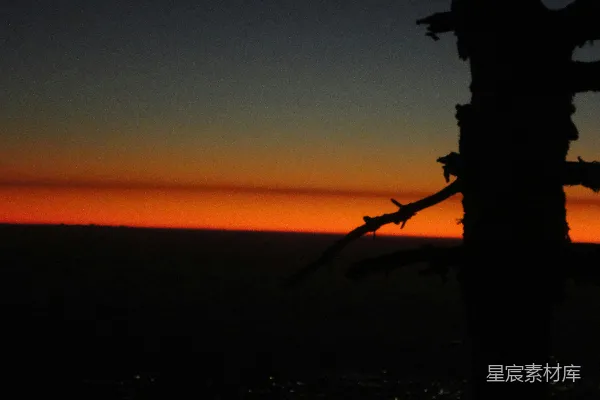 高清摄影 一棵树在夕阳的天空中剪影成形。