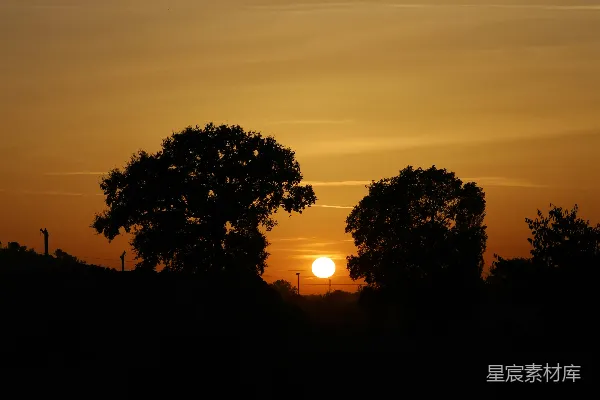 高清摄影 树木剪影在绚丽的夕阳天空中。