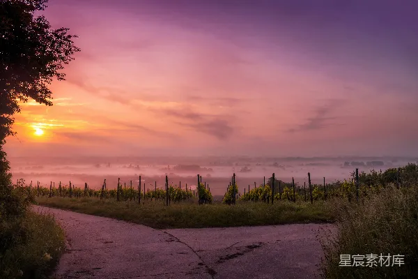 高清摄影 夕阳西下时，绿色草地间的灰色柏油马路