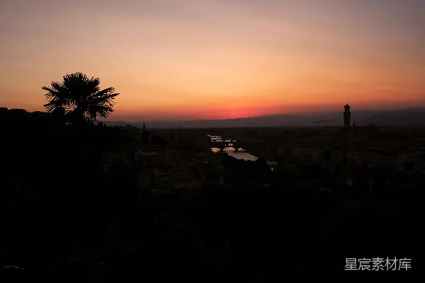 高清摄影 夕阳西下，城市上空是棕榈树。