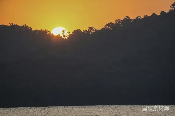 高清摄影 夕阳映衬在剪影的森林和宁静的水面上。