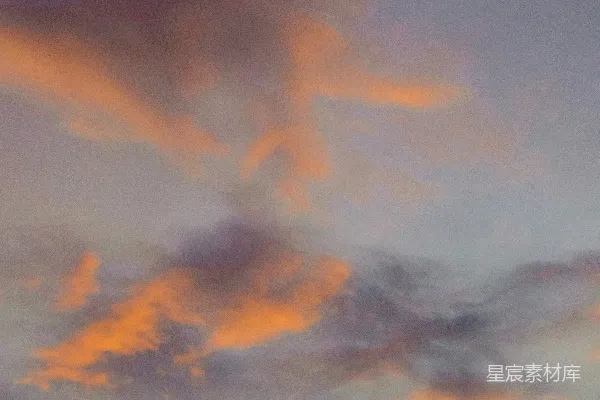 高清摄影 两只鸟在日落时分的天空中飞翔