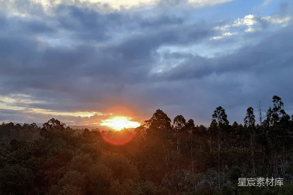 高清摄影 夕阳在树林间落下。