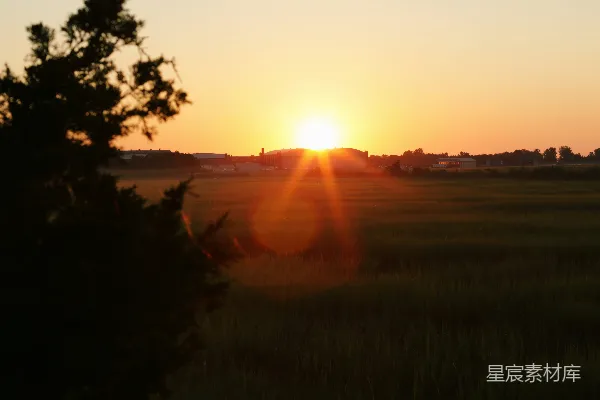 高清摄影 夕阳下的绿草地