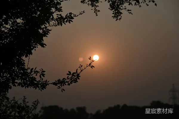 高清摄影 夕阳透过薄雾中的天空，映照着树枝。