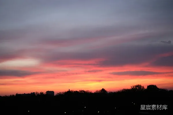 高清摄影 夕阳下树木的剪影