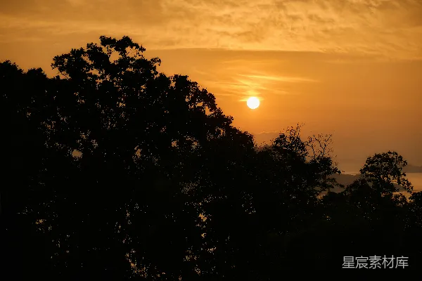 高清摄影 夕阳映照在剪影树和平静的水面上