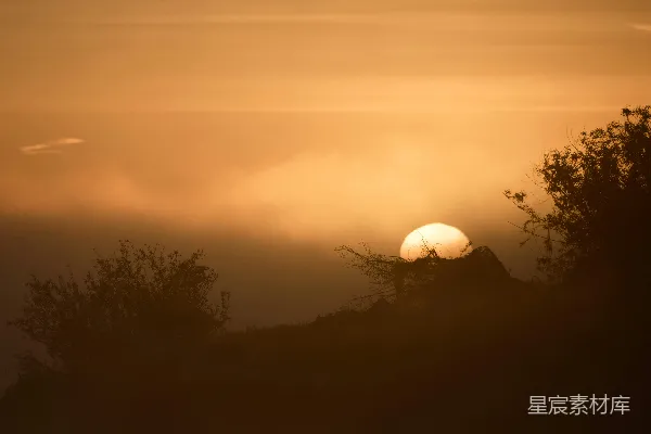 高清摄影 夕阳垂落在剪影的树木和山丘之后。