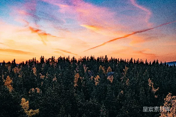 高清摄影 森林上空美丽的日落