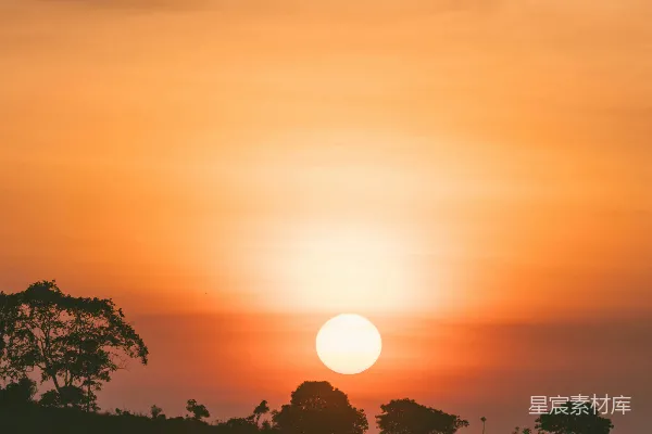 高清摄影 金色的夕阳笼罩着剪影中的树木和山丘。